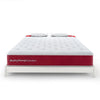 Molty Sleep Executive 2in1