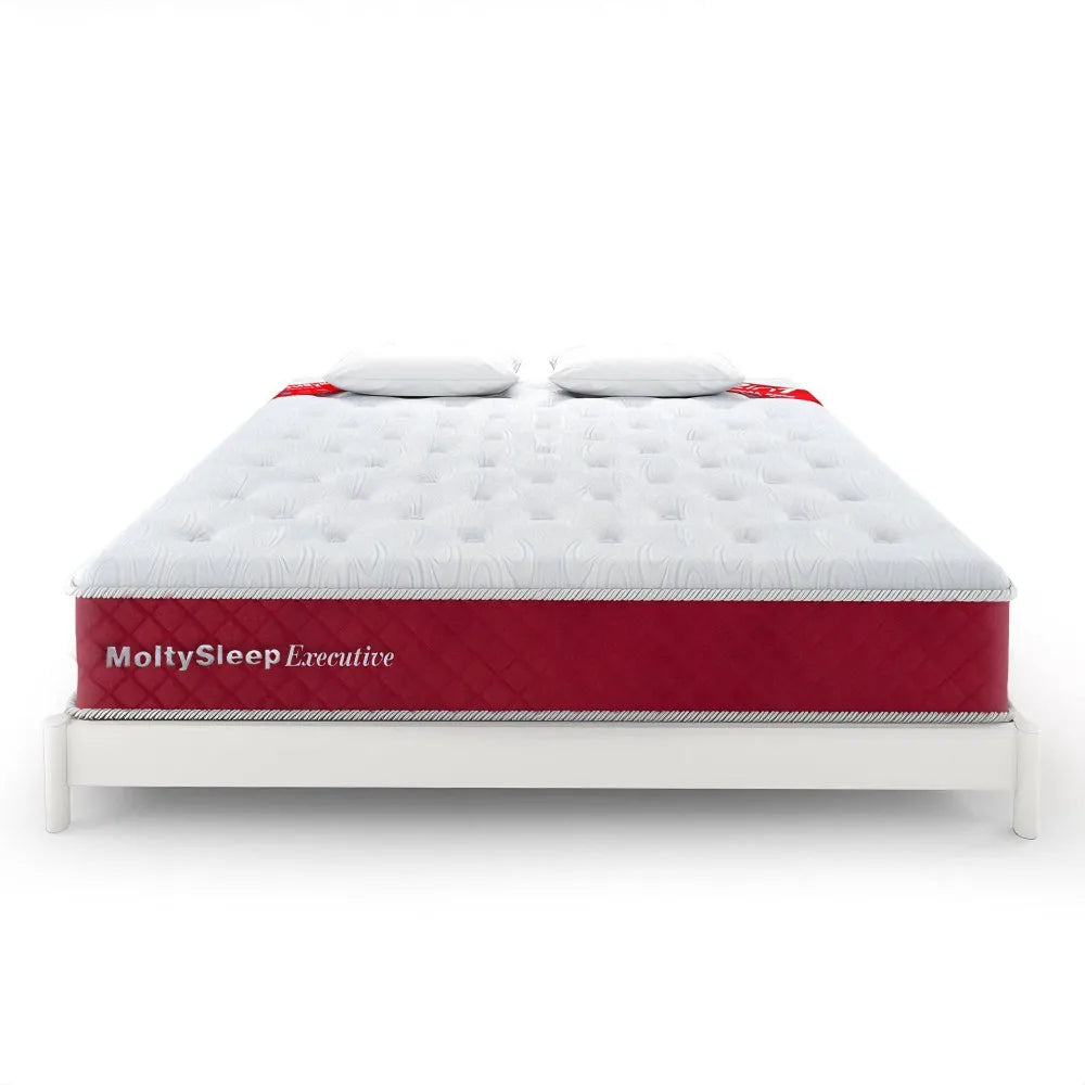 master moltysleep executive