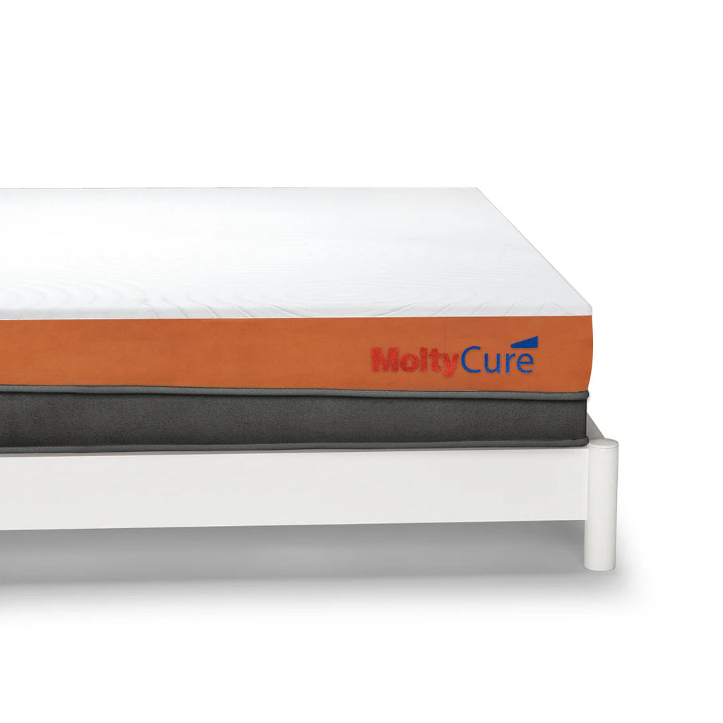 Molty_Cure_2_Layers_listing_1800x1800.webp