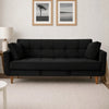 Modern Teal Sofa Cum Bed Article No4