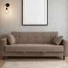 Modern Teal Sofa Cum Bed Article No6