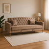 Sleeper Sofa