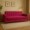 Modern Sofa Cum Bed