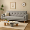 Comfortable Sofacumbed For Daily Use