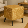 Modern stools pair