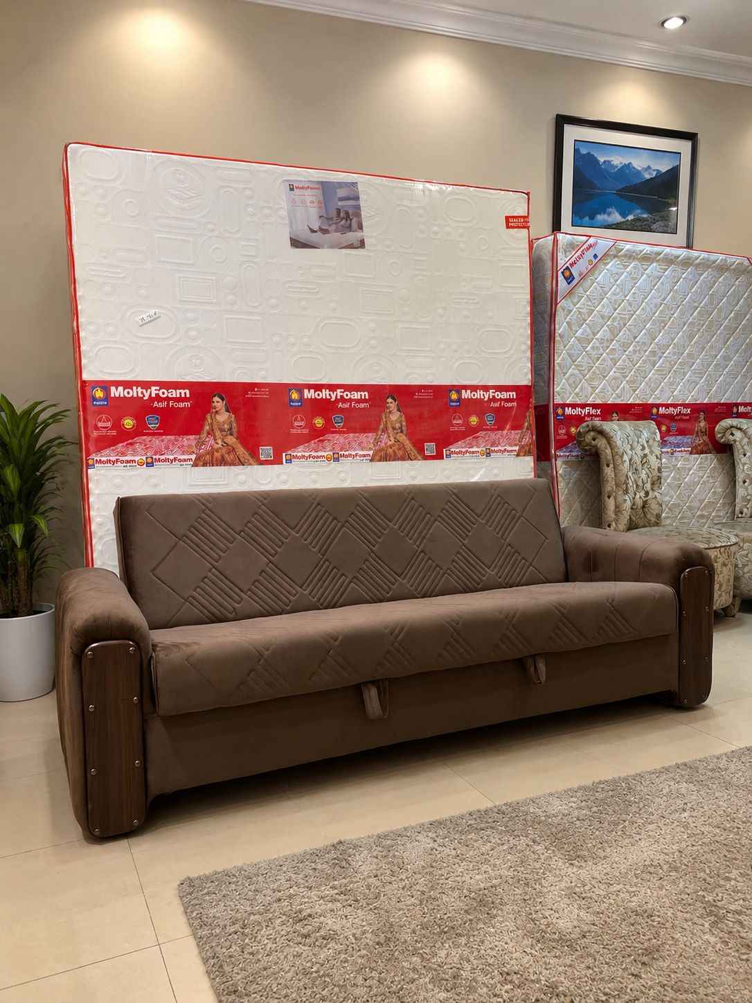 Premium Sofa Come Bed with Solid Wood Frame