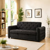 Modern Double Sofa Cum Bed with Solid Wood Frame