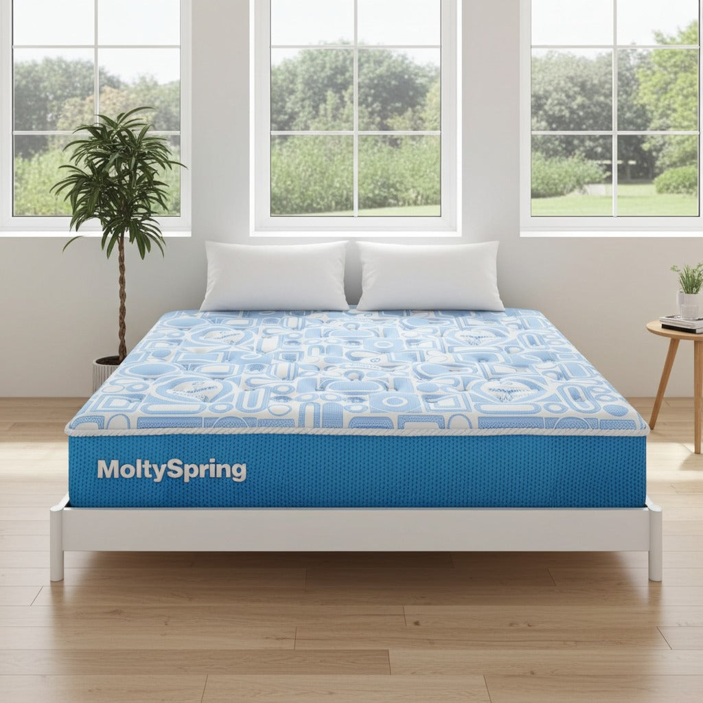 Master Molty Spring 2in1