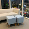 Ottoman Stools Pair with Premium Upholstery