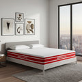 Master Molty Sleep Memory 2in1