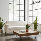Modern Reclining Sofa Bed for Home