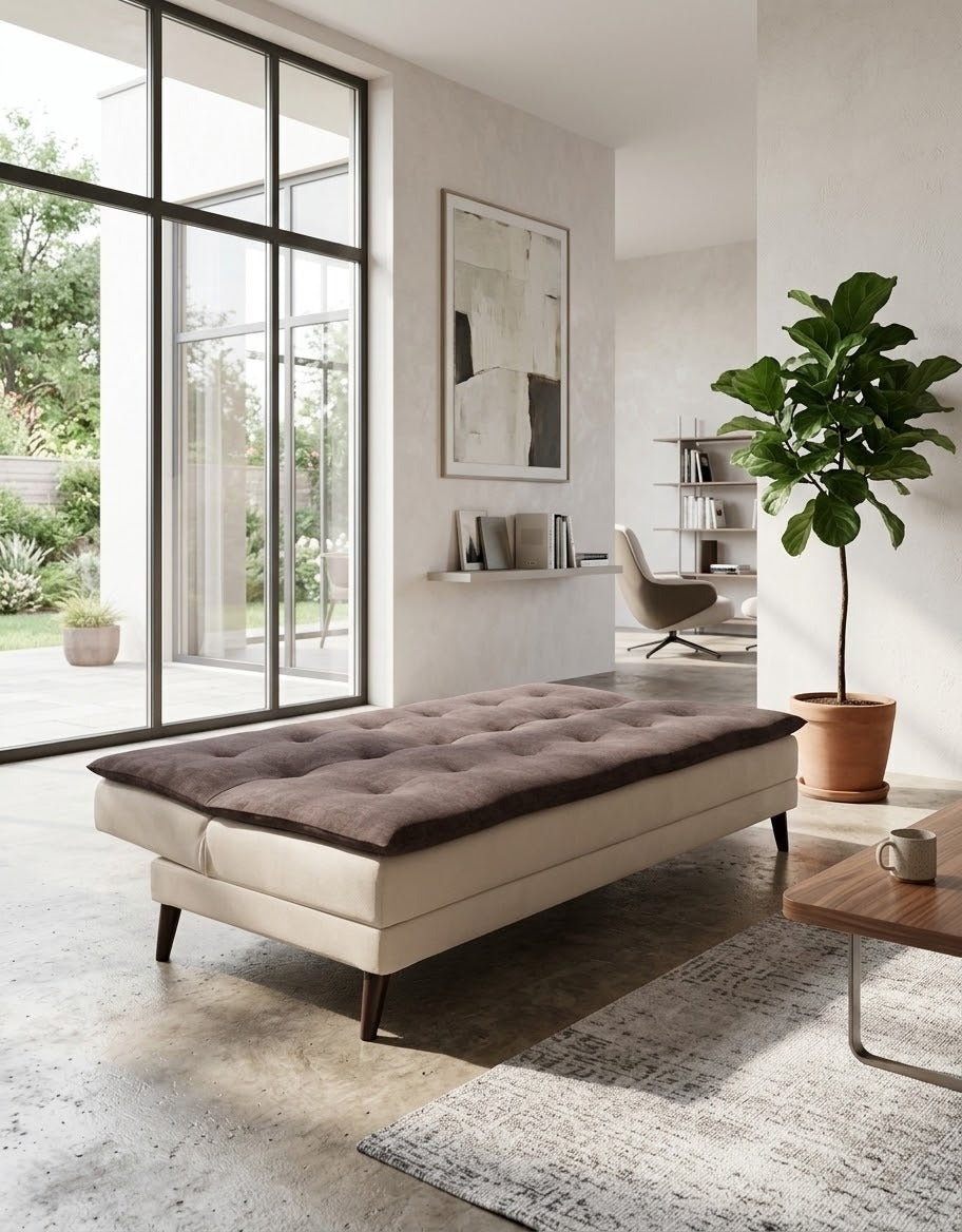 Sofa Cum Beds