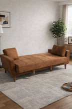 Brown sofa bed in a living room setting with a plant and rug.