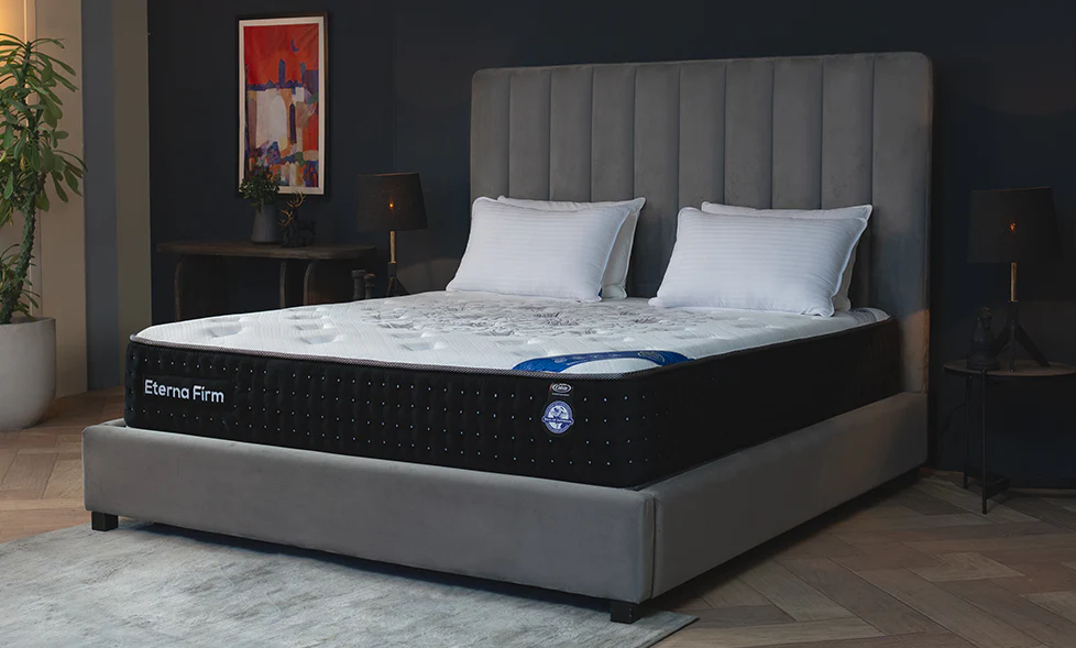 Master Celeste Eterna Firm