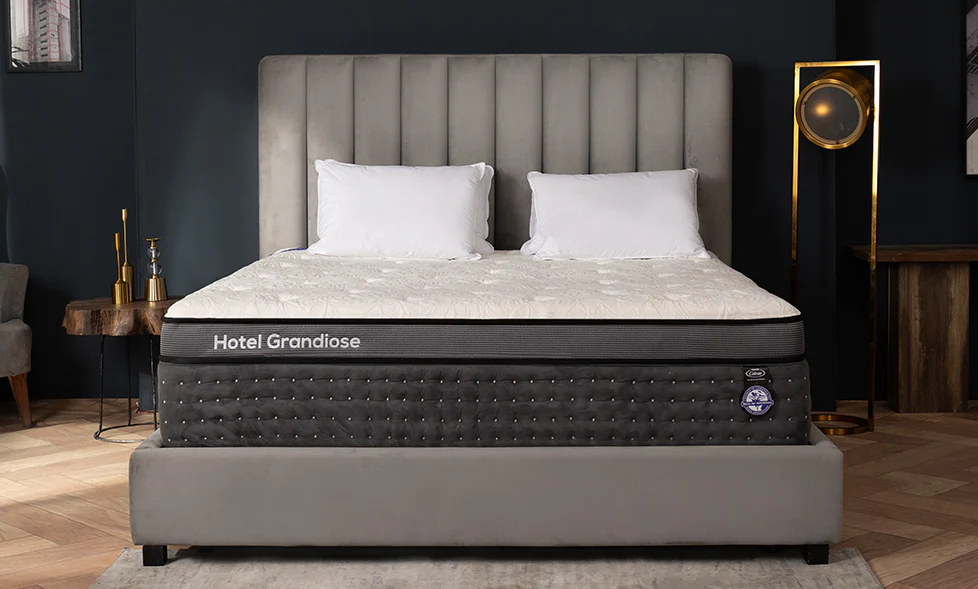 Master Hotel Grandiose