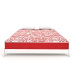 Master Moltyfoam 2in1