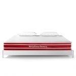 Master Molty Sleep Memory 2in1