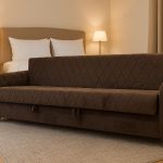 Sofa cum bed for living
